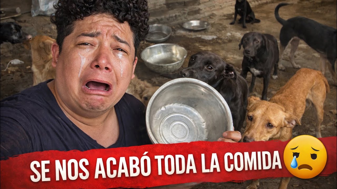 Rescatar es amor, pero también es quedarte sin nada