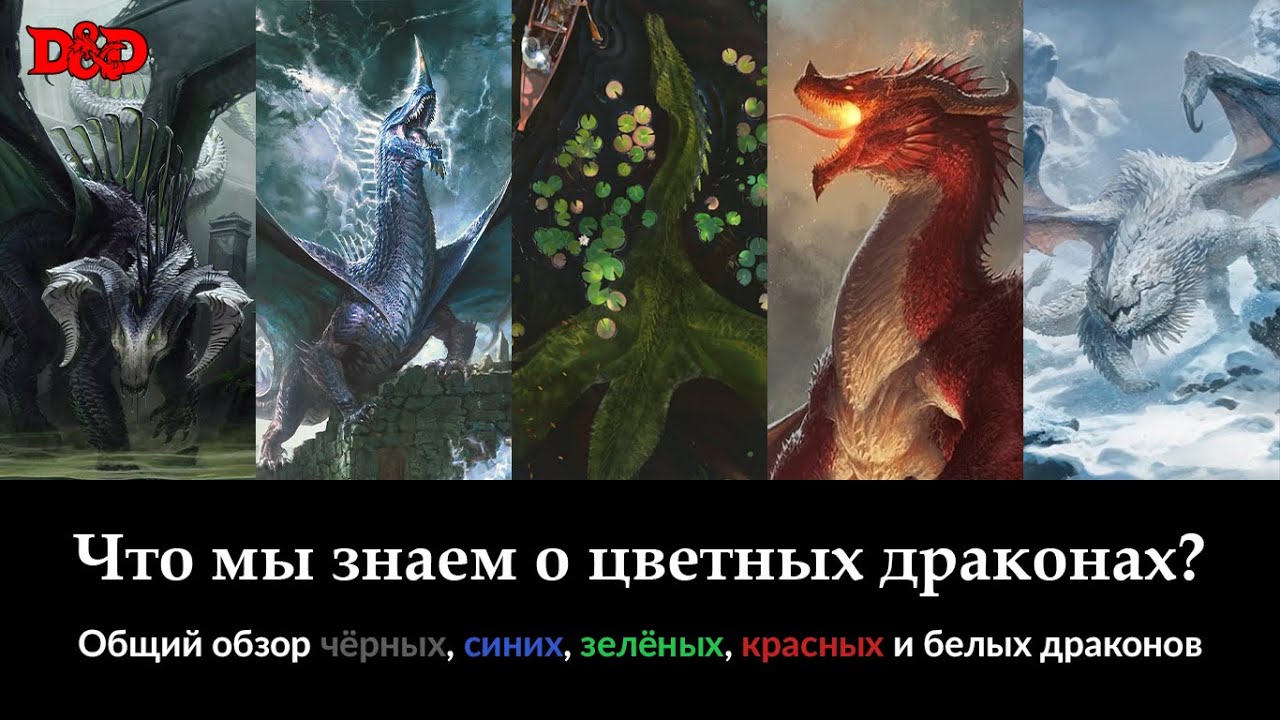 Что мы знаем о цветных драконах? | D&D Lore