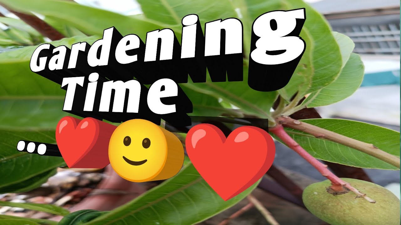 Gardening Time Live ❤️❤️💯🌺🥰🥰👍🤝 (Some Energetic moments)09/01/26.😇 