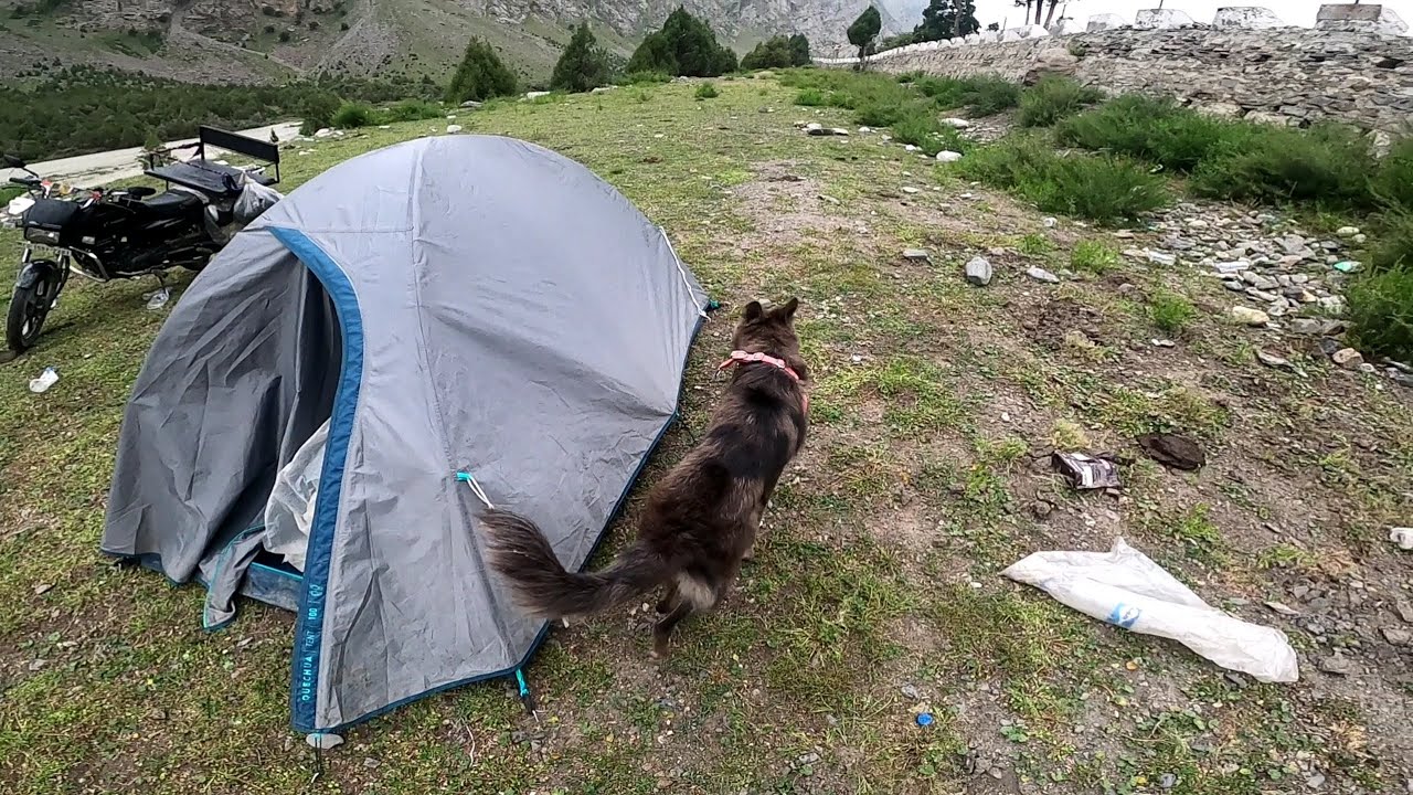 Jispa Himachal Pradesh | Jispa camping | German shepherd ke sath night camping DAY 28 🏕️#jispa