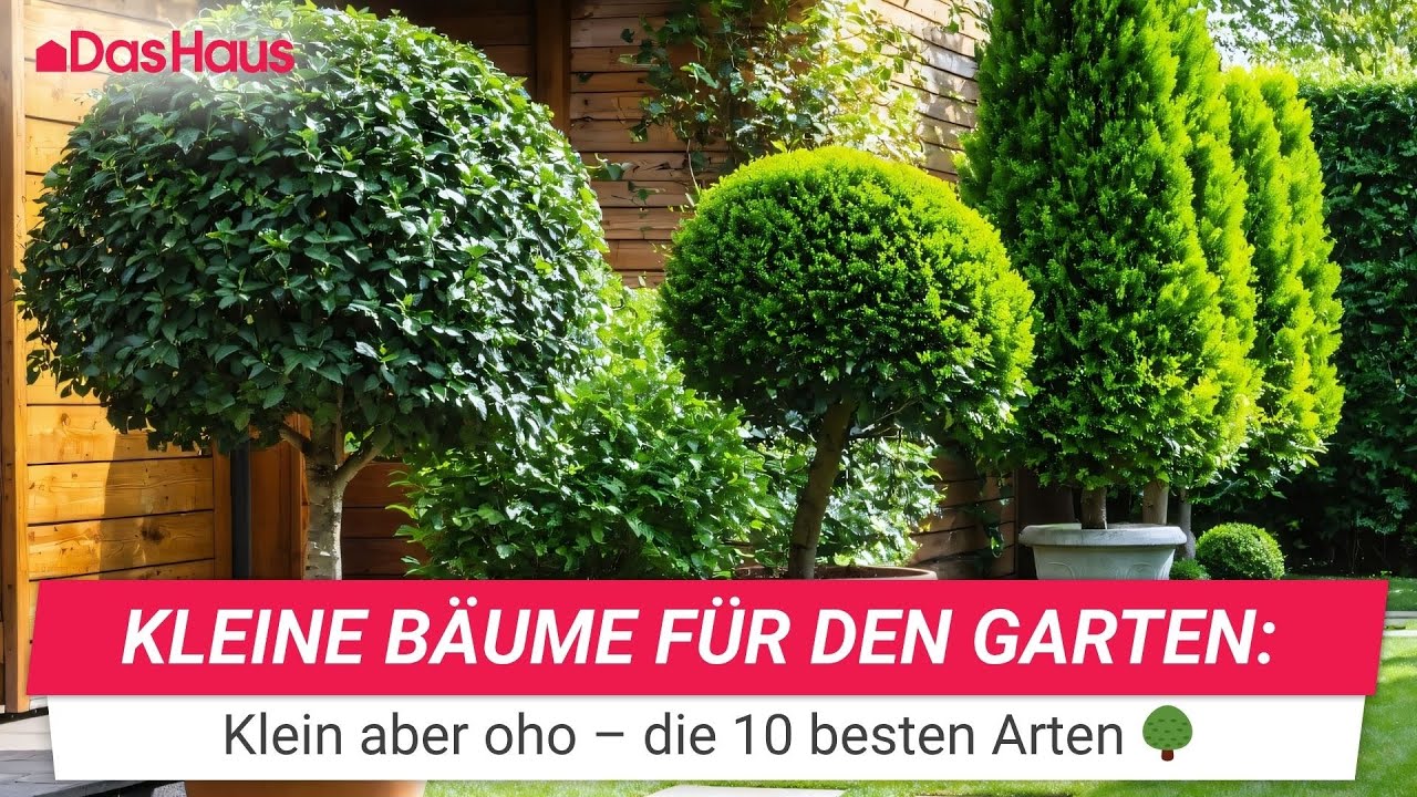 Kleine B&auml;ume, gro&szlig;e Wirkung: Die 10 besten Arten f&uuml;r kleine G&auml;rten