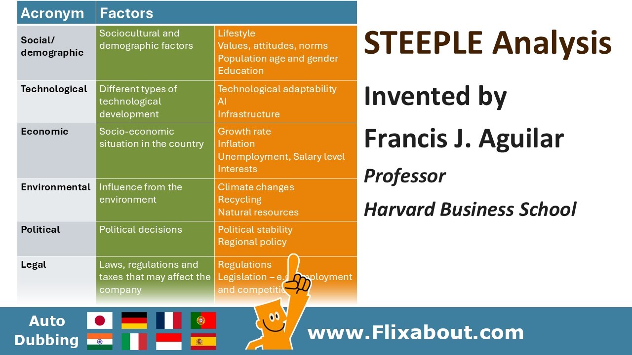 The STEEPLE analysis is a framework which assesses the external factors of the business