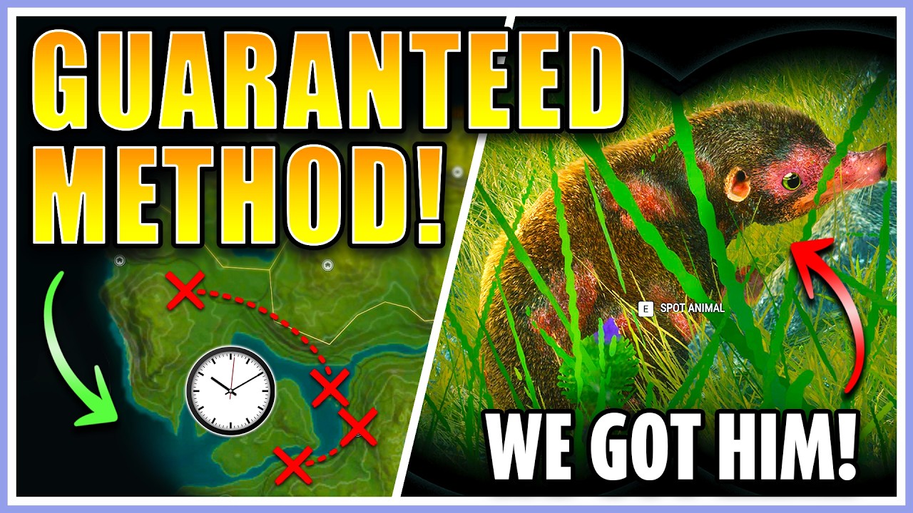 This Wild Haggis Cost Me EVERYTHING! Complete Wild Haggis Guide 2026 - theHunter Call of the Wild