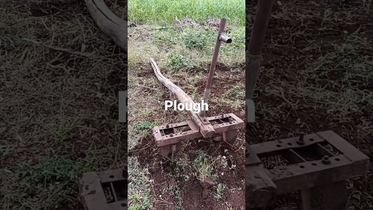 Plough: Давайте изучать английский язык с помощью визуальной лексики |