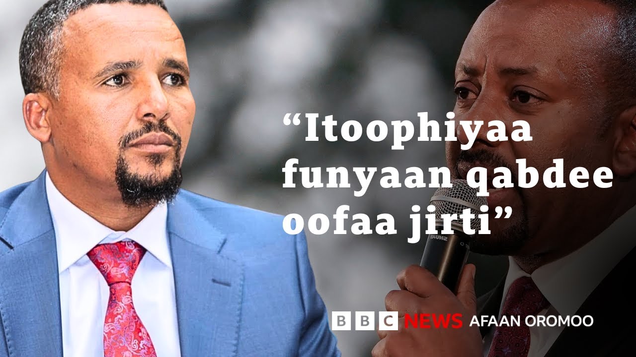 Jawaar MM Abiy, ulaa galaanaa, UAE fi Sa'udi, KFO, TPLF fi qabsoorratti | BBC News Afaan Oromoo