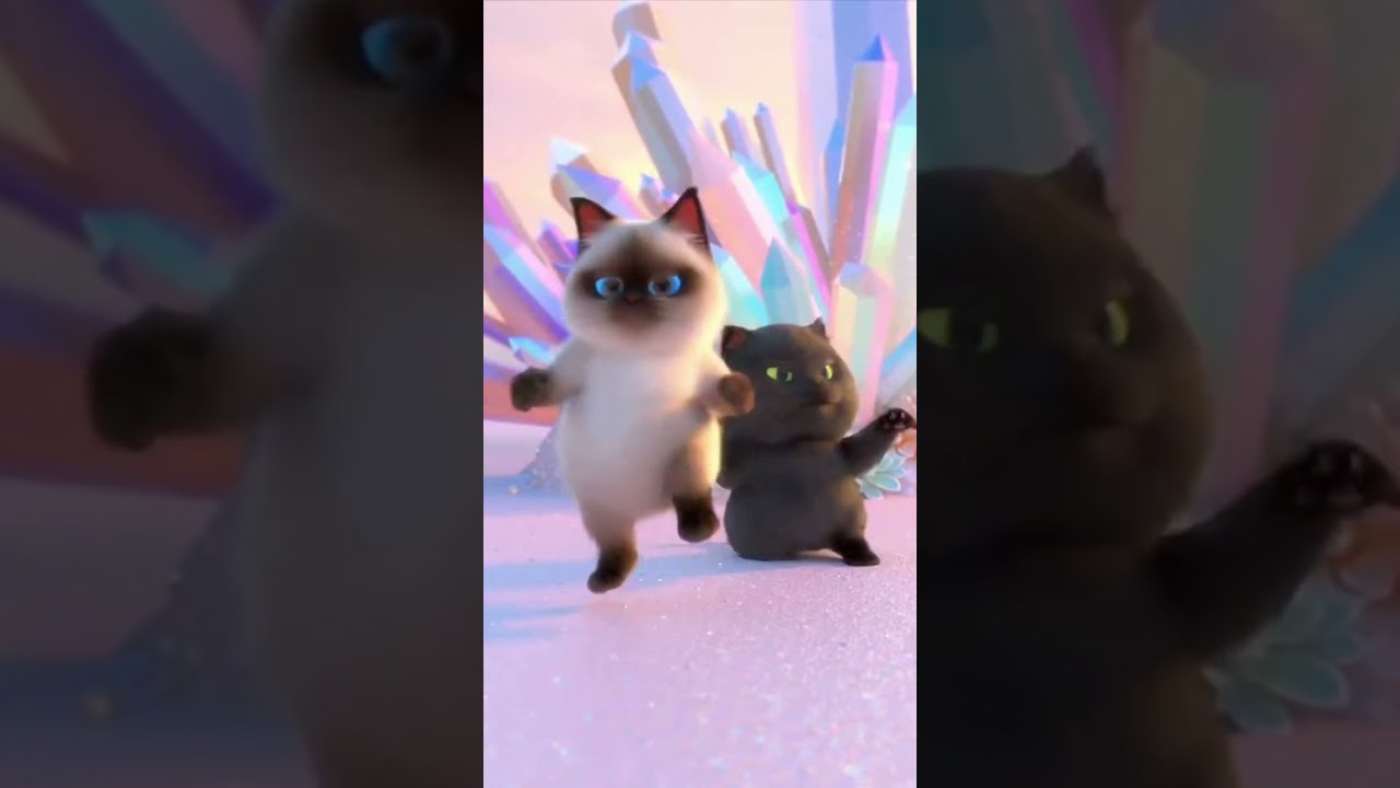 which dancing cat do you choose? 