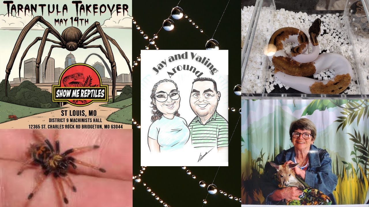 Jay and Val go to the Show Me Reptile Expo Tarantula Takeover Style !!!!!
