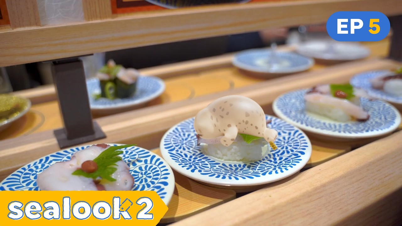Traveling the World While Sleeping | SEALOOK S2 | EP.5