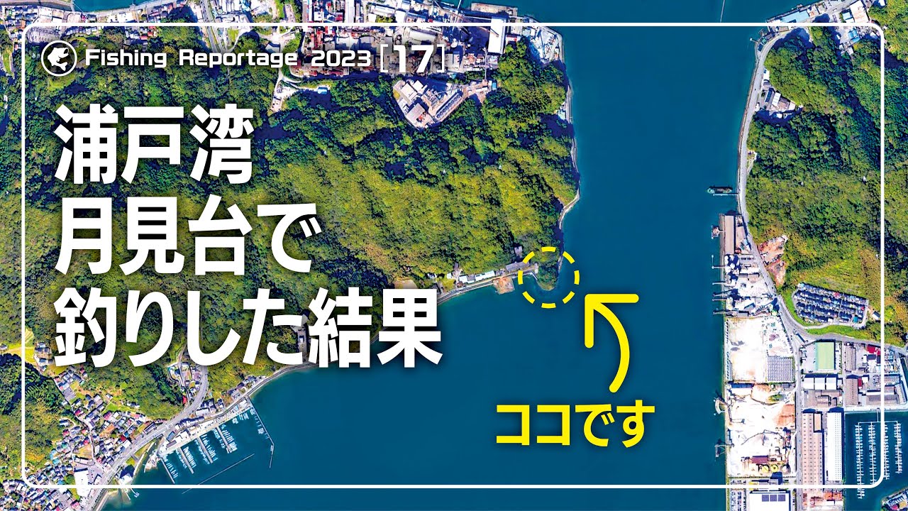 高知の浦戸湾（月見台）で釣りした結果…