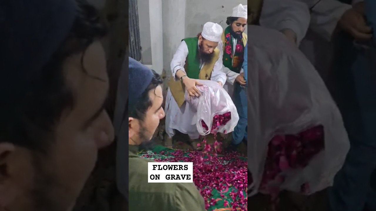 Islamic Muslim Burial #namaz #funeral #prayer #burial #qabar #flowers