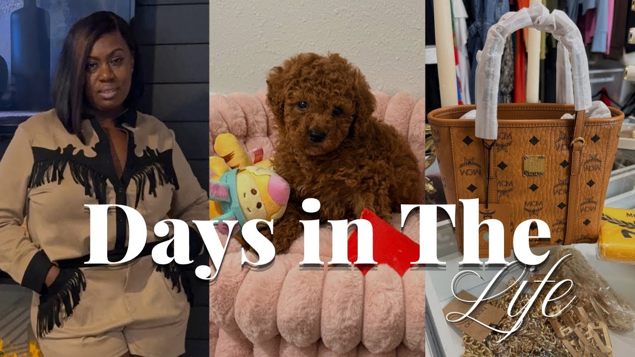 Vlog| New Toy Poodle 🐶 Brand Deals Advice, Unboxings & Reals days in the Life