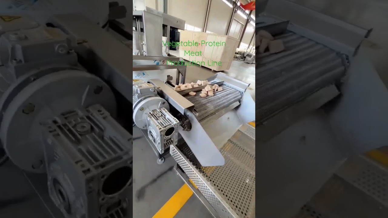 Vegetable Protein Meat Production Line #VegetableProteinMeatProductionLine