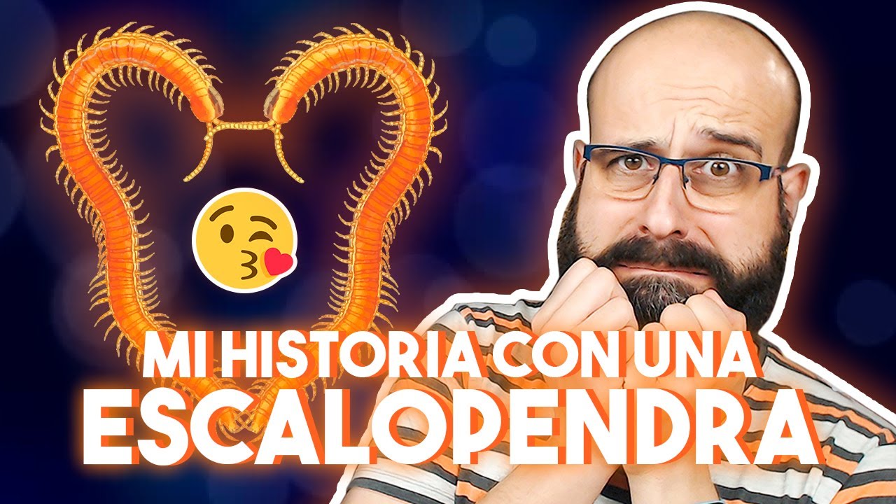 🐛 MI HISTORIA CON UNA ESCALOPENDRA | La subred de Mario