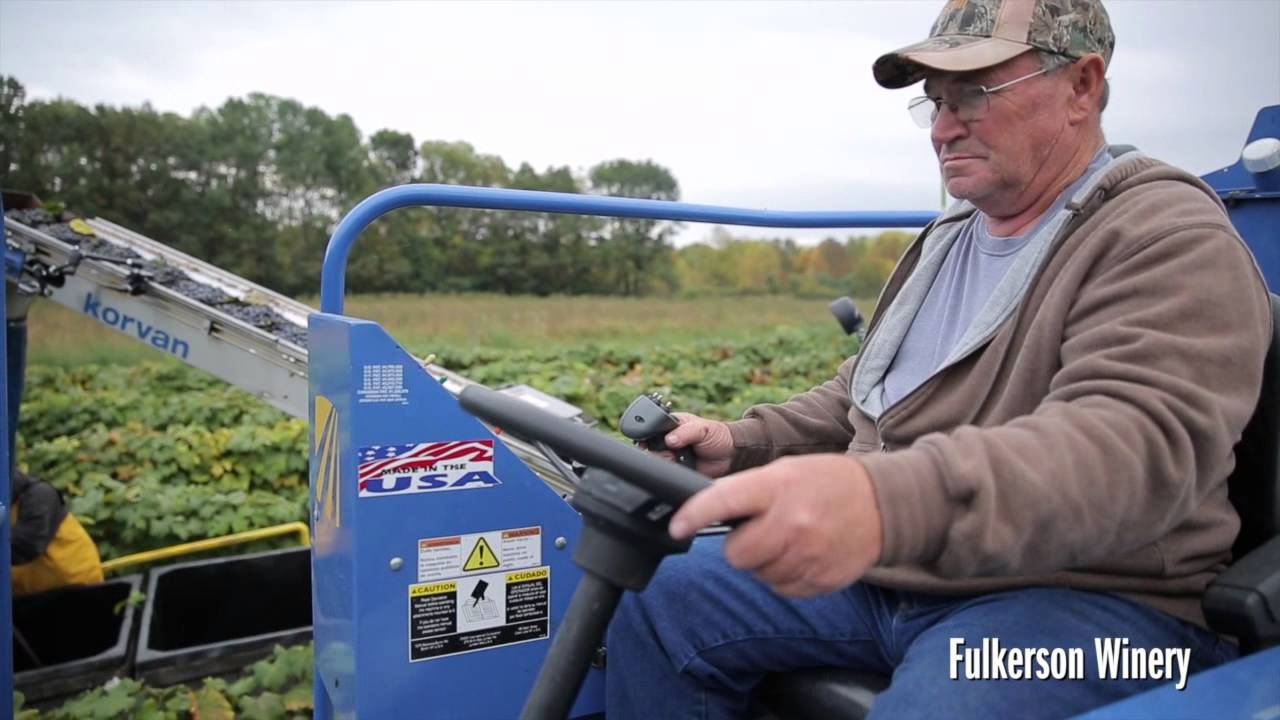 A Glimpse into Finger Lakes 2013 Harvest Webisode 2.5 {Short Version}