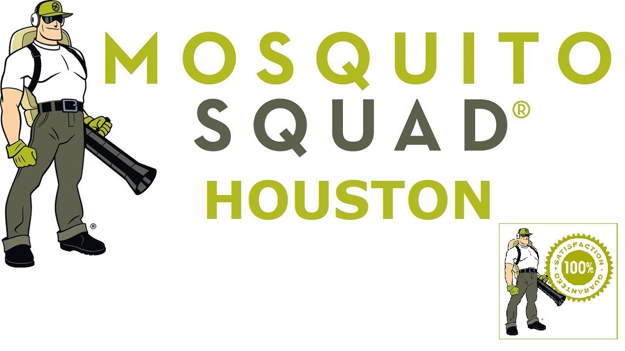 Mosquito Control In Houston Texas ~ No More Bites