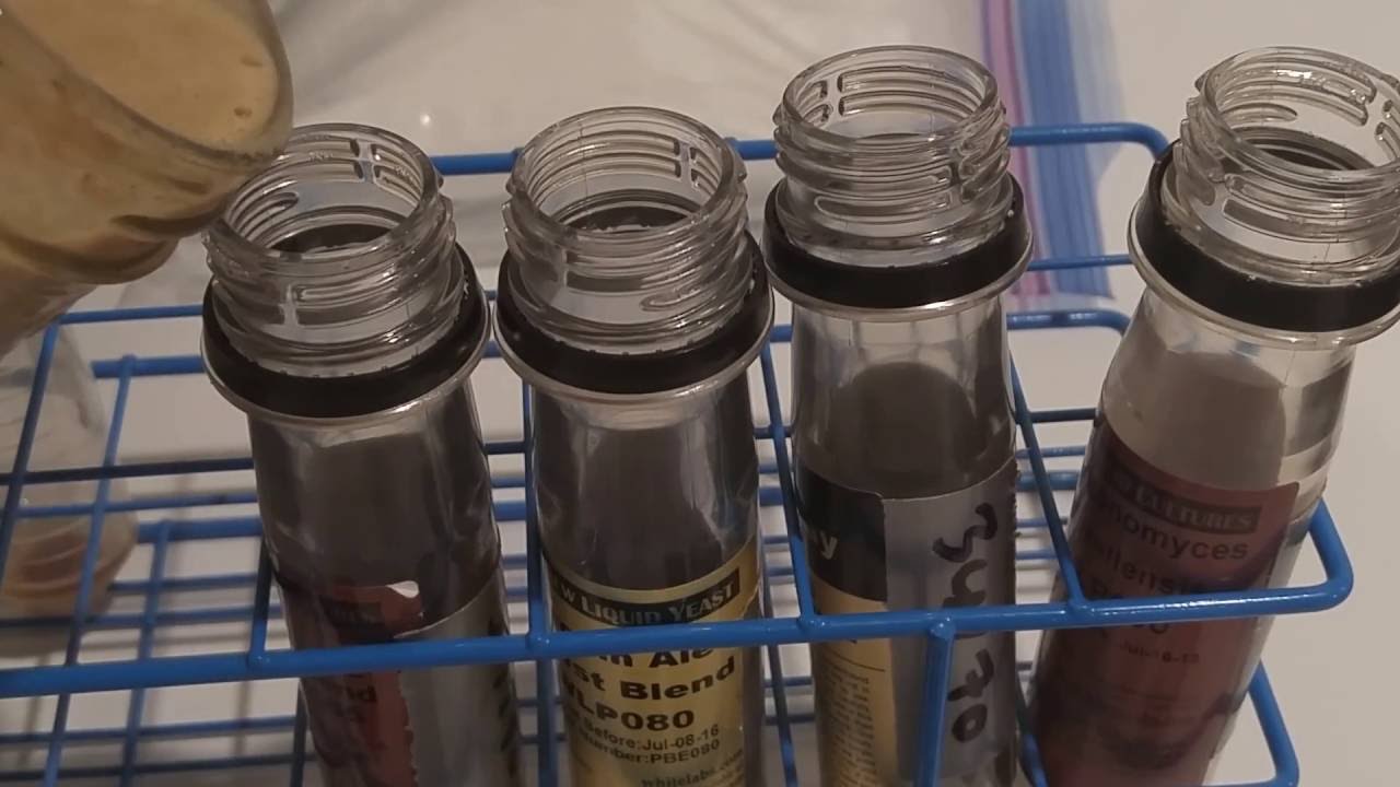 Your Home Yeast Lab Made Easy - Freezing & Refrigerating Yeast