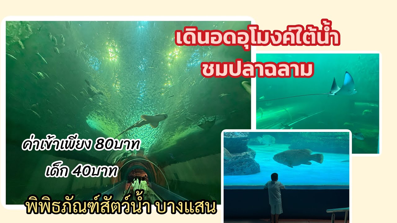 กินเที่ยว EP148 เดินอุโมงค์ใต้น้ำ ค่าเข้าเพียง 80บาท บางแสน