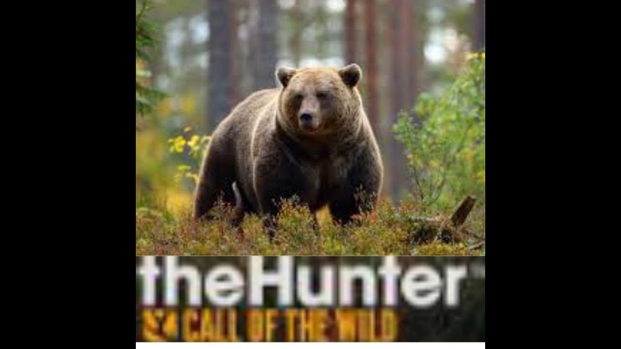 Smoked a freaking black bear, baby.