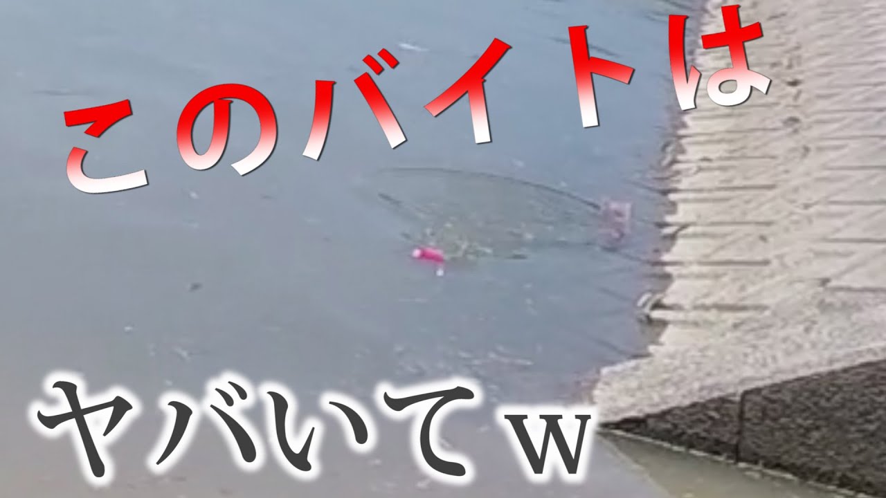 【バス釣り】トップウォーター！このルアー楽しすぎん？梅雨！夏！おすすめデプスのMTウエイク！