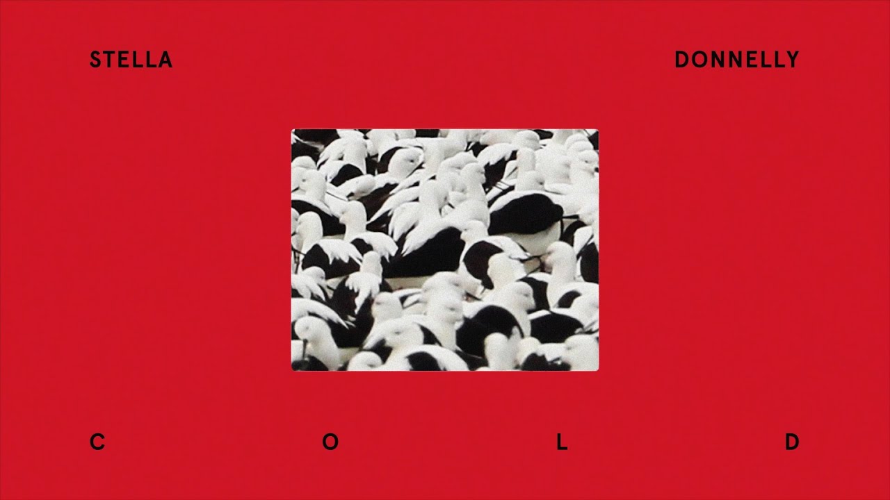 Stella Donnelly - Cold (Official Visualizer)
