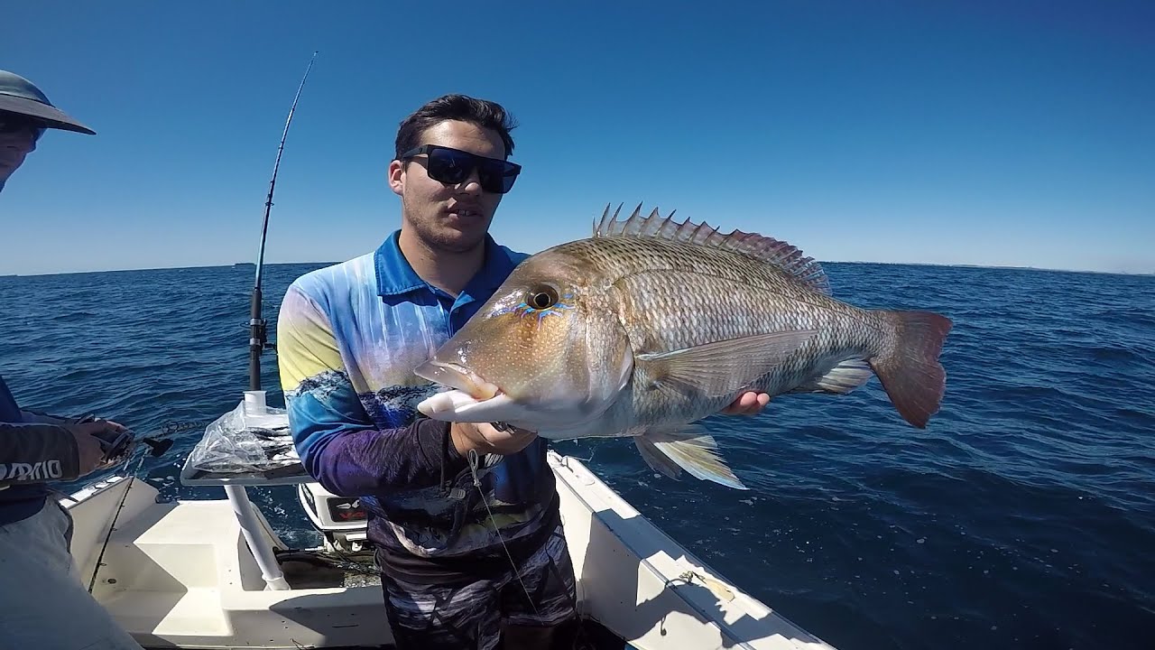 Beat my PB TWICE in 20 minutes!! HUGE SWEETLIP (Sunshine Coast Inshore Reefs)