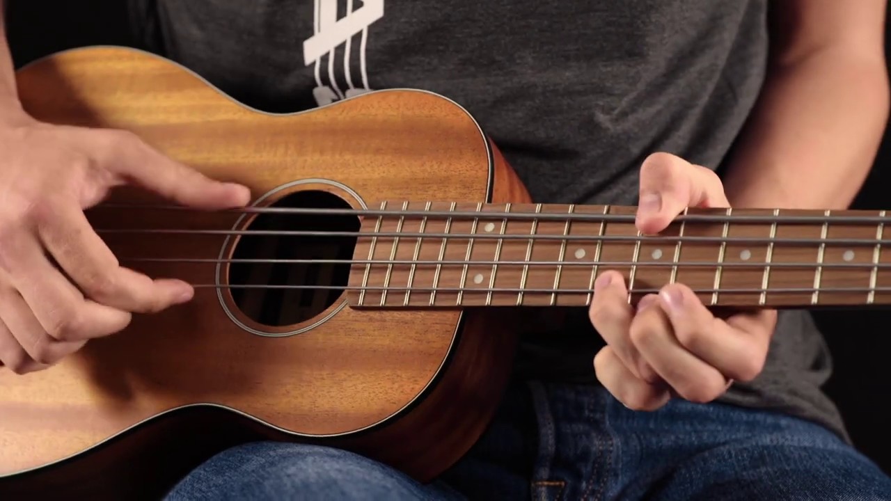 NEW Flatwound Strings for U•BASS