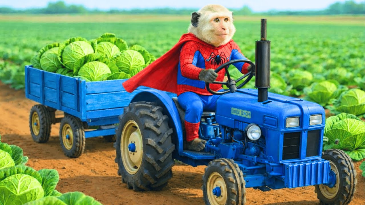 🐒⚔️ Monkey Bonzi Defends the Cabbage Garden from a Swarm of Hungry Grasshoppers! 🥬💥