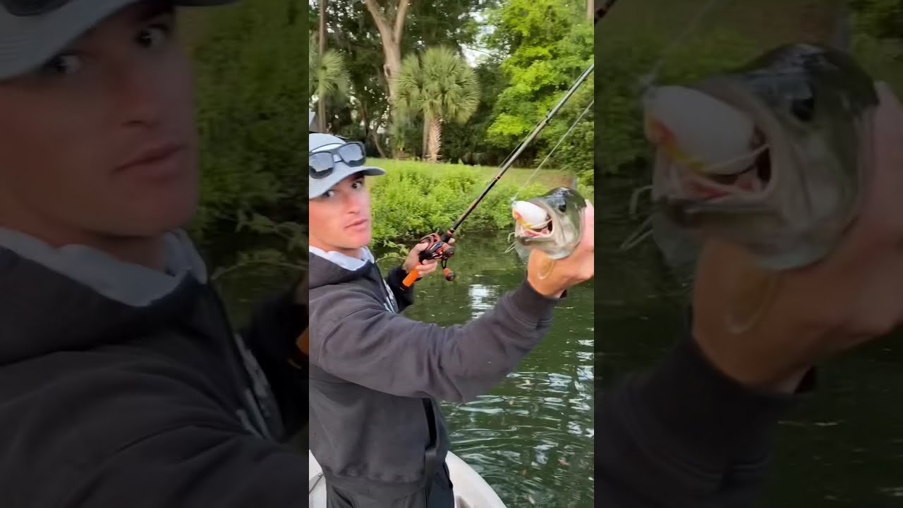 How to Catch a Fish #Shorts