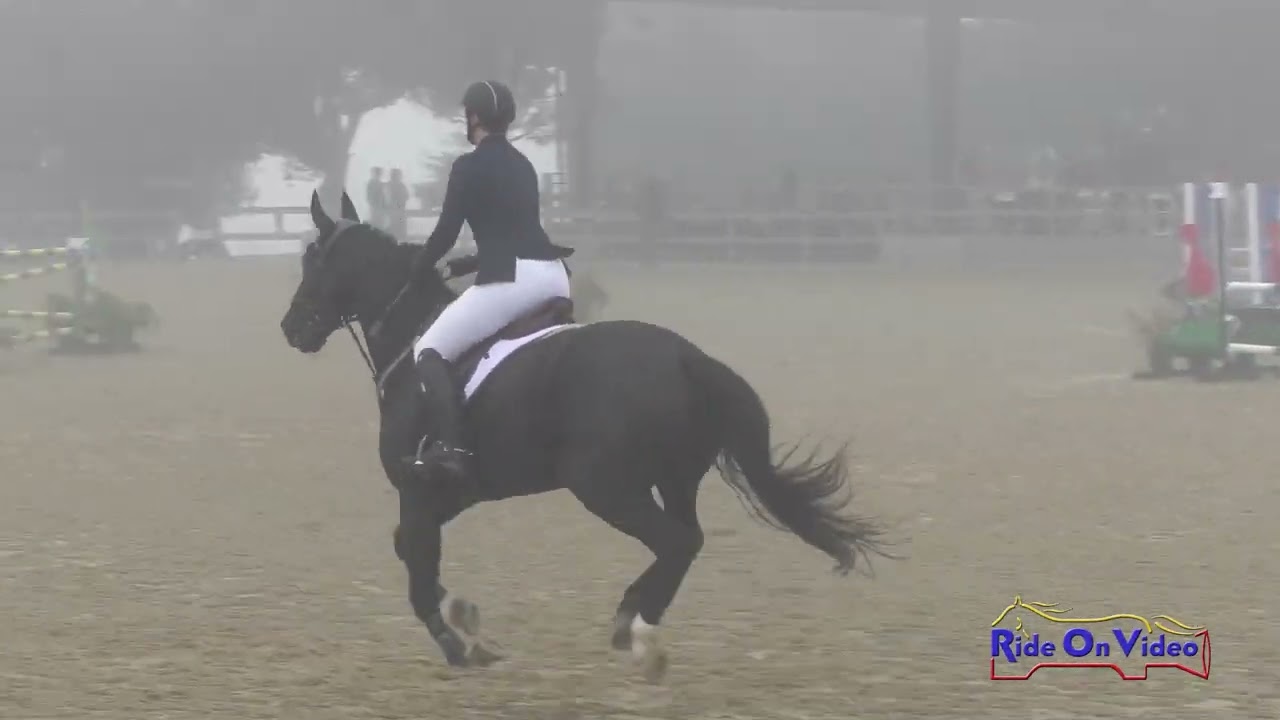 269S Ellie Spurlock on Prouno JR Training Show Jumping Woodside Oct. 2022