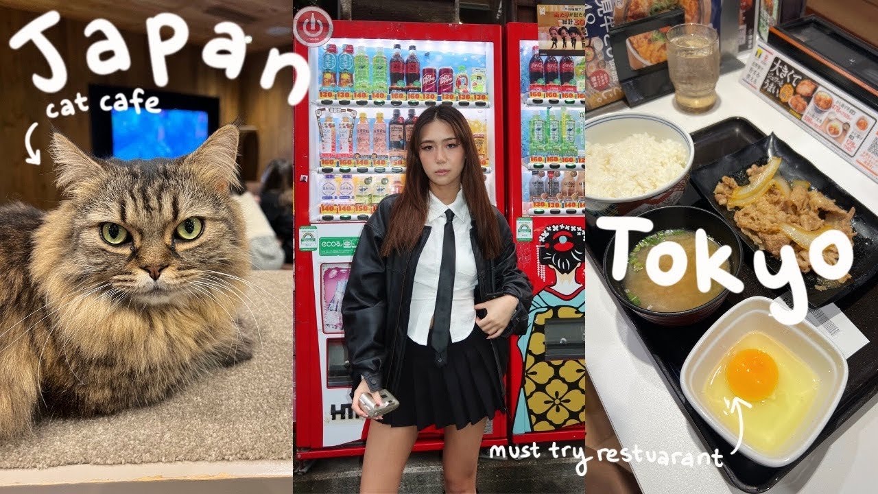JAPAN TOKYO VLOG | best restaurants, what I eat, updated tourist activities, cat cafe, Shibuya