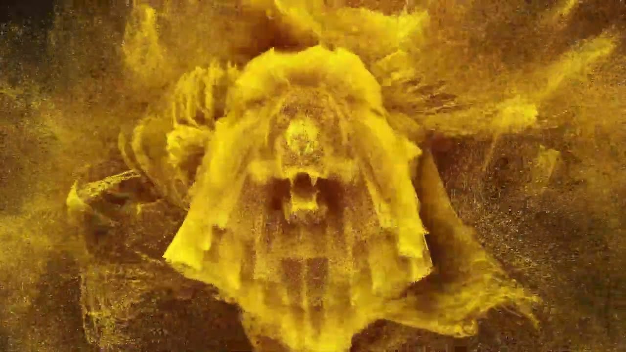 NATOURALE 24: Bester Naturfilm (Short)