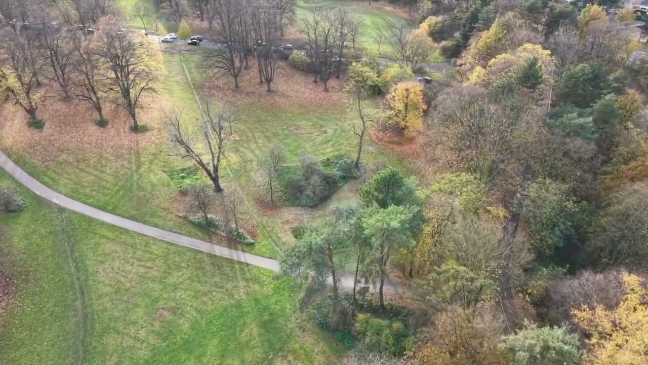 20251110 Herkulesberg Herbst