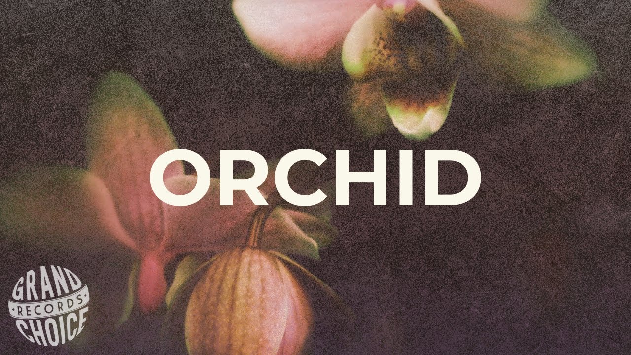 Orchid Visualizer