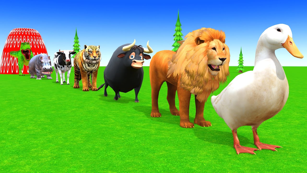 Long Slide Game with Cow Elephant Gorilla Hippopotamus Tiger 3d Animal Game Funny 3d Animals