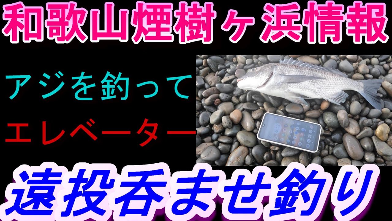 05-27　煙樹ヶ浜釣り情報・実釣編【第1317回】アジを釣って、エレベーターの吞ませ釣りをします #呑ませ釣り ＃遠投カゴ釣り #和歌山釣り #煙樹ヶ浜