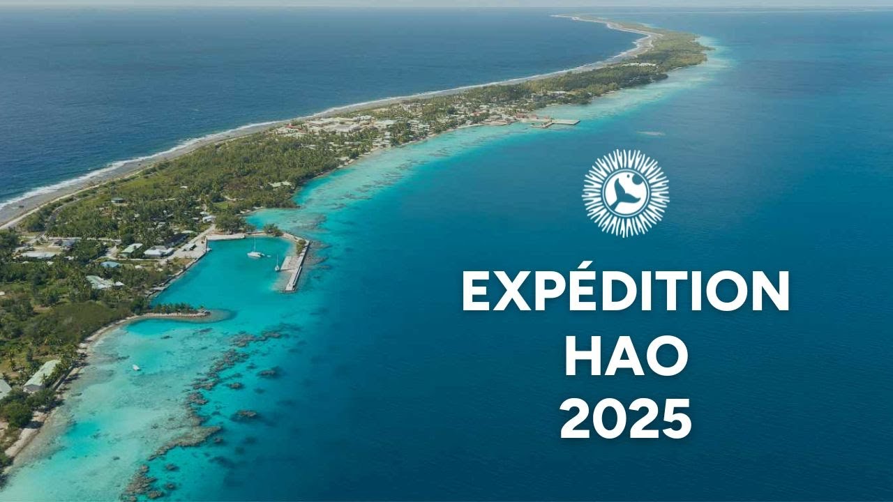 Expédition Hao 2025 : Aventures inédites dans les Tuamotu