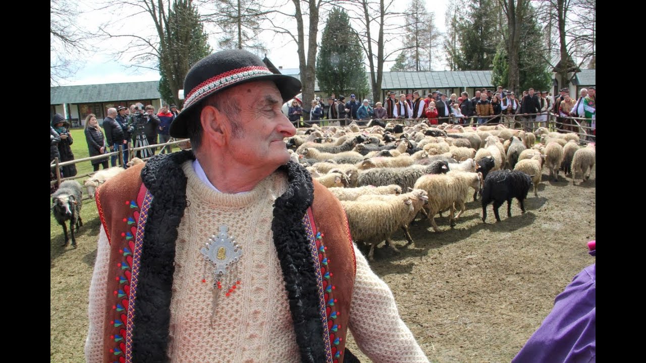 Święto Bacowskie w Ludźmierzu - wkrótce owce wyruszą na hale