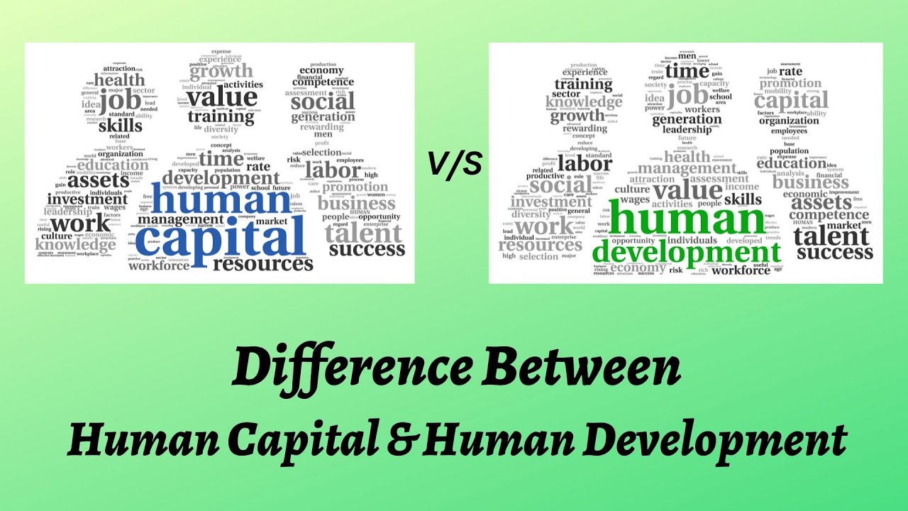 Difference Between Human Capital and Human Development | Growth or Skill? Understand the Difference