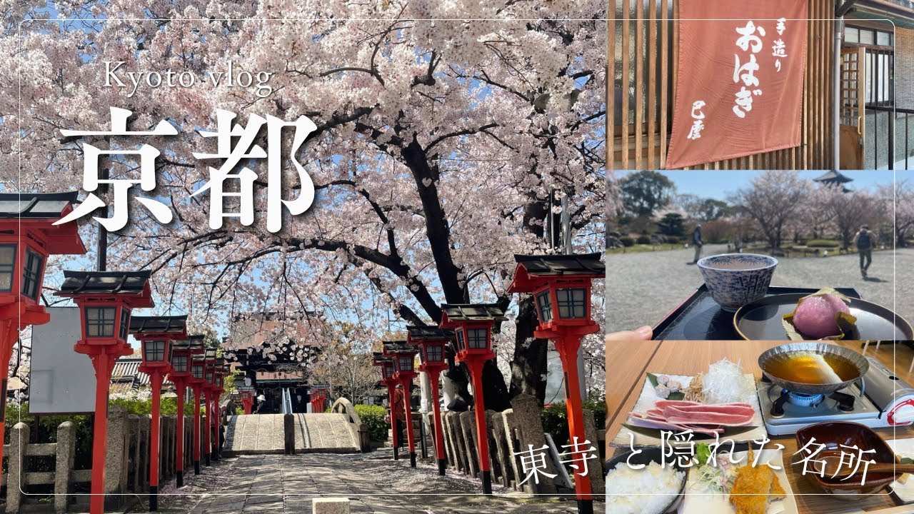 【京都 桜】 京都の桜 おすすめ 東寺と穴場の桜名所 京都グルメ 和菓子