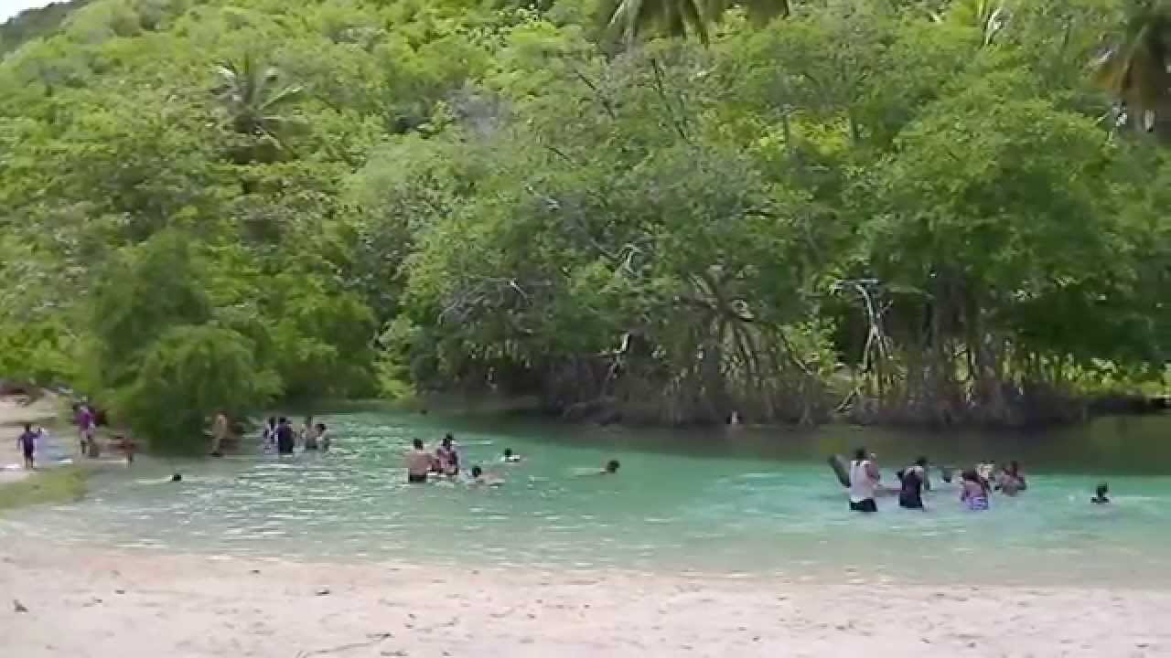 Playa Rincon las Galeras Samana