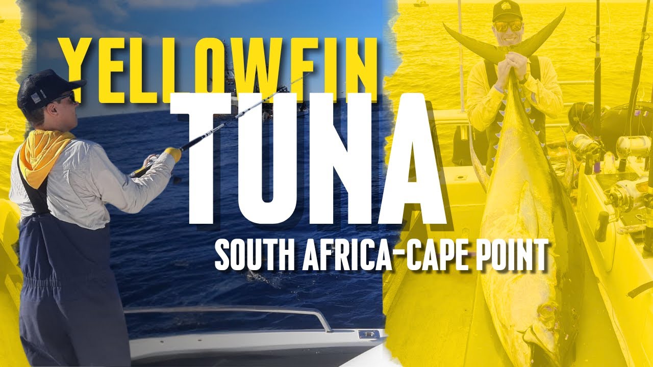 Yellowfin Tuna Fishing (Cape Point, South Africa)