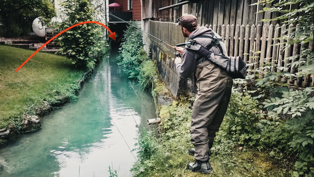 Große Fische stehen an verborgenen  Stellen - Angeln in Minigewässern!