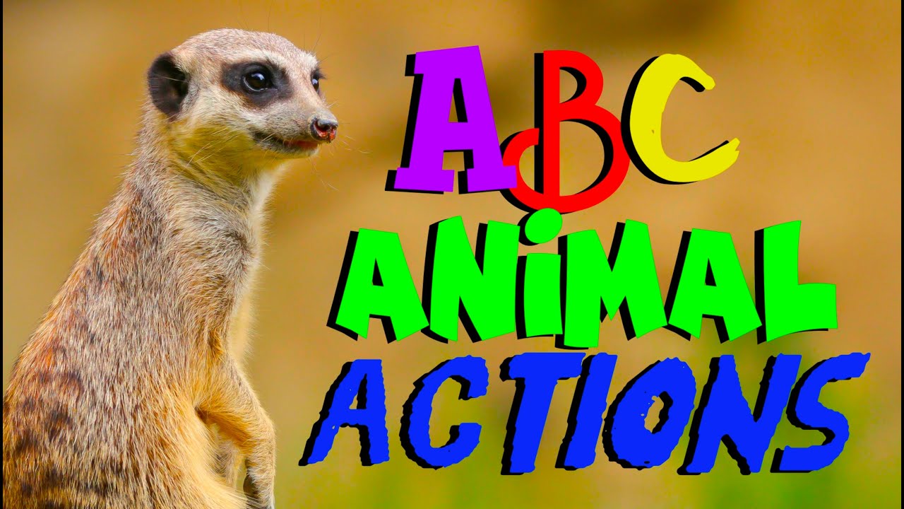 Песня-танец с животными ABC Kids