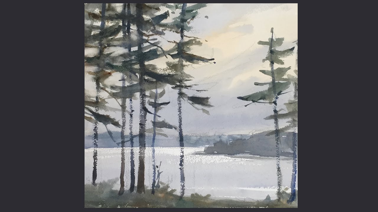 White Pine - Maudslay Park