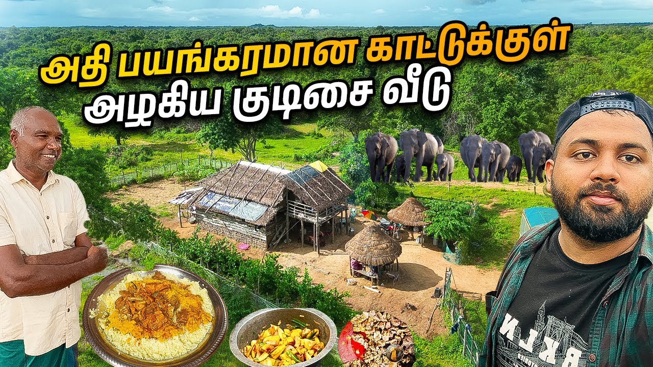 🤯 அடர்ந்த காட்டுக்குள் இப்படி ஒரு இடமா 😱 | Mahavelithenna | Village | Jaffna Tamil YouTubers
