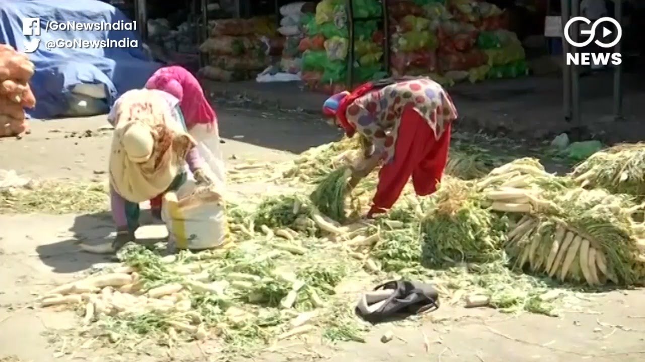 Vegetables Rot On The Roads Amid Lockdown