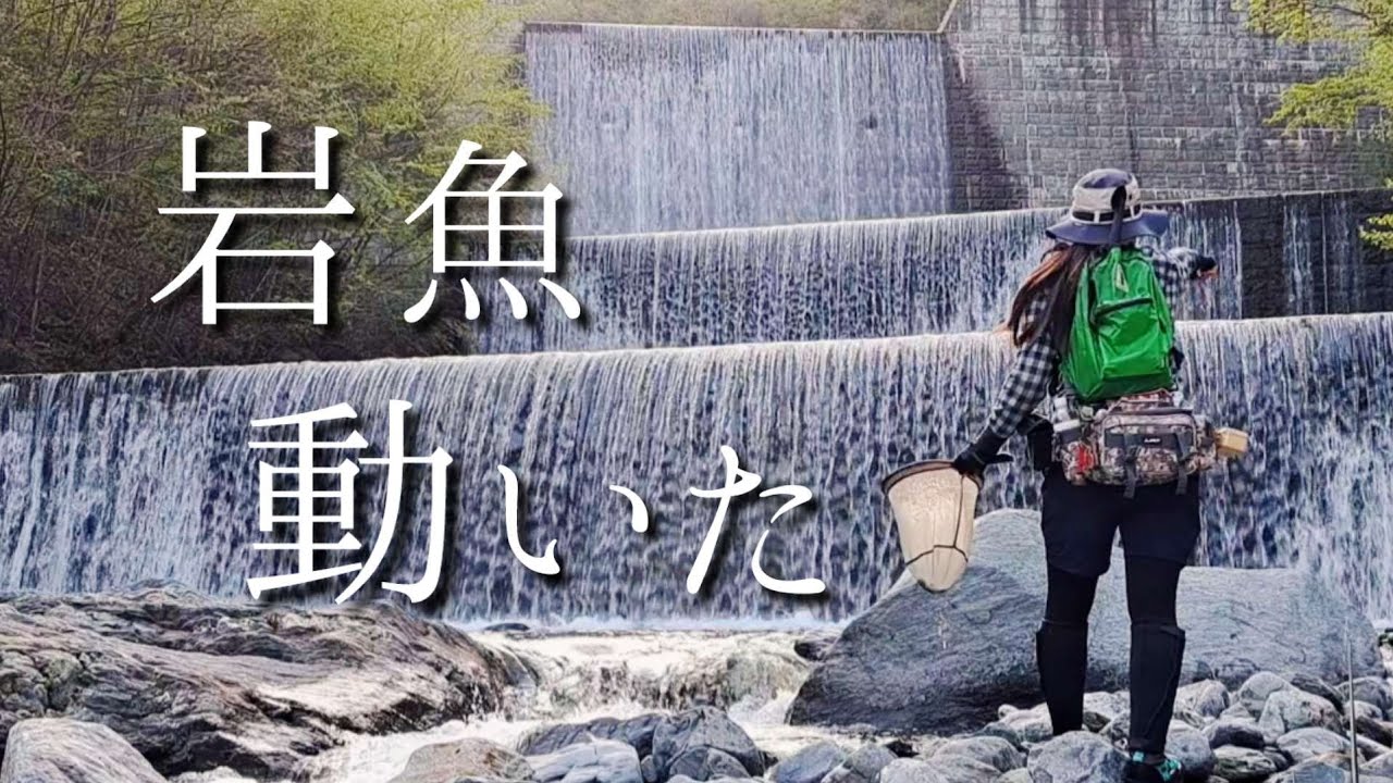 岩魚が動き出した！ヘンテコ釣法炸裂！GW中の意外な釣果【渓流釣り】