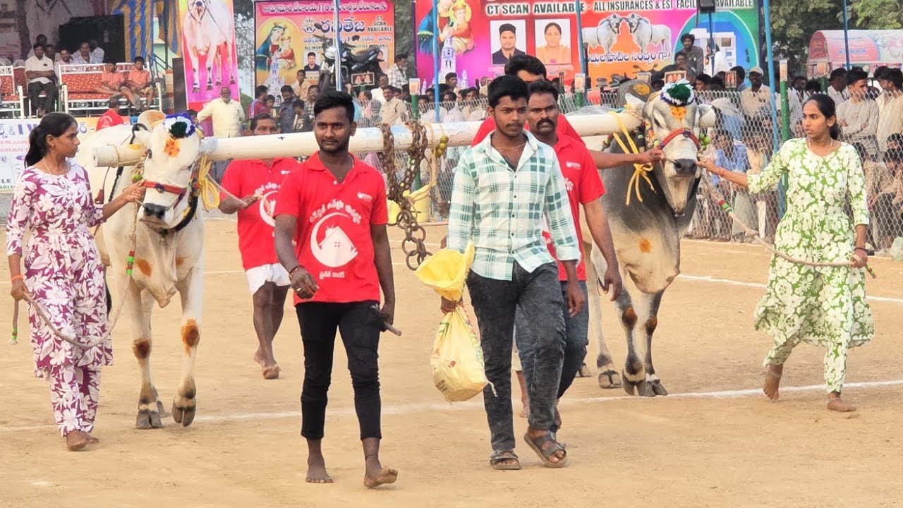 రెంటచింతల రెండుపళ్ళు.14వ జత