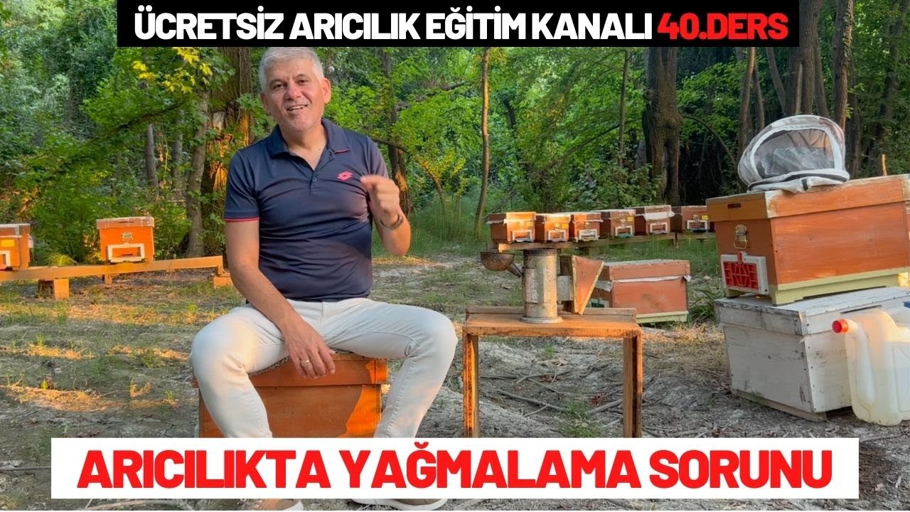 Arıcılıkta Yağmalama Sorunu! Arılar Neden Yağmalama Yapar? Nasıl Önleriz?