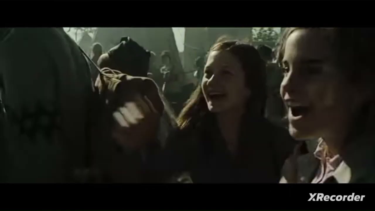 Harry Potter Darkside song Alan Walker MV